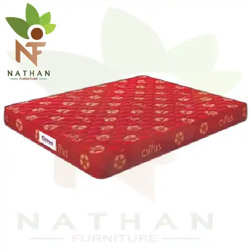 PEPS COIR MATTRESS 4 FEET